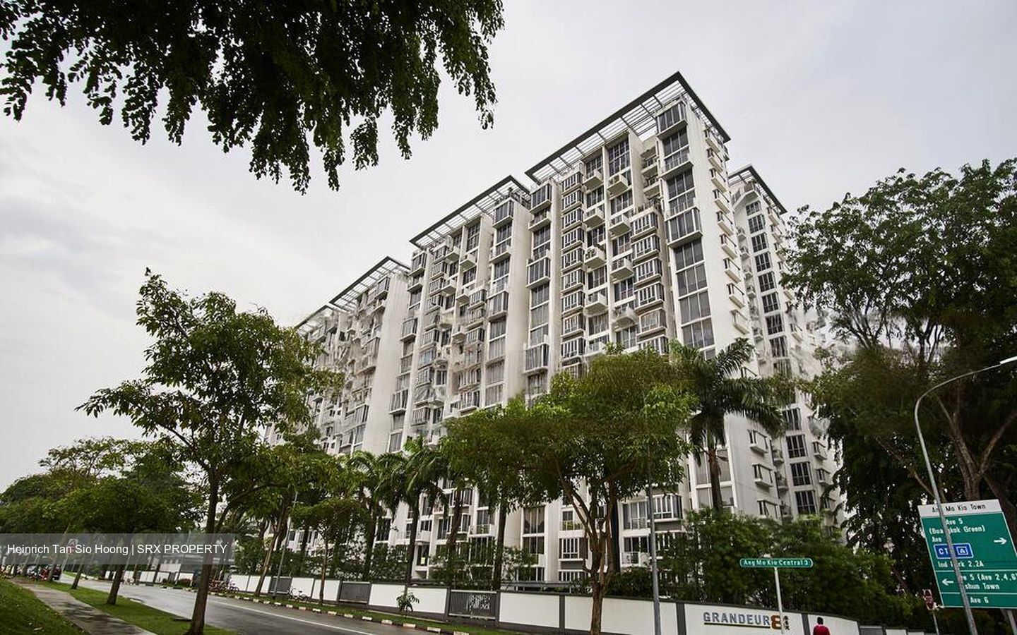 Ang Mo Kio Avenue 8 (D20), Condominium #483465371